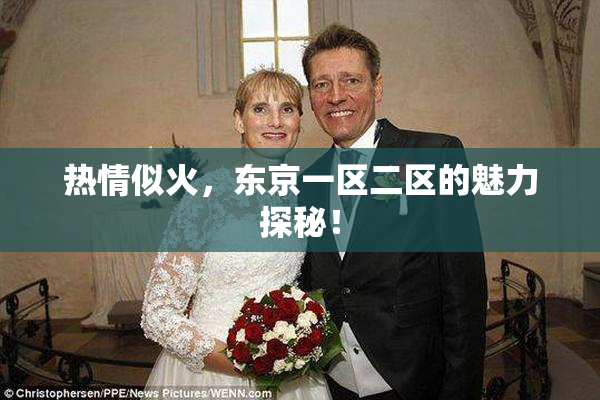 热情似火，东京一区二区的魅力探秘！