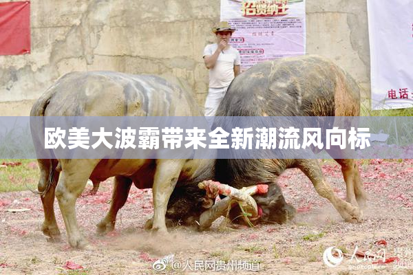 欧美大波霸带来全新潮流风向标
