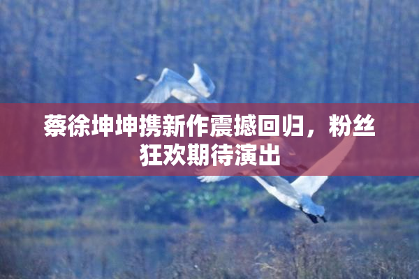 蔡徐坤坤携新作震撼回归，粉丝狂欢期待演出