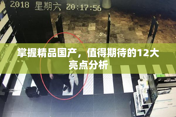 掌握精品国产，值得期待的12大亮点分析