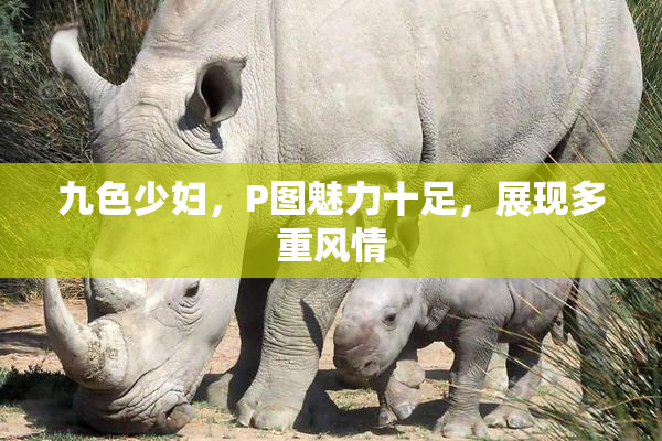 九色少妇，P图魅力十足，展现多重风情