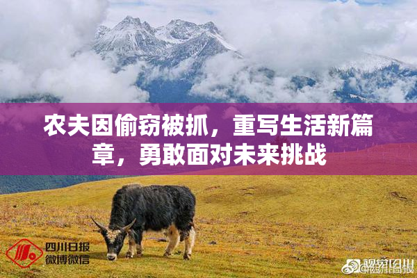 农夫因偷窃被抓，重写生活新篇章，勇敢面对未来挑战