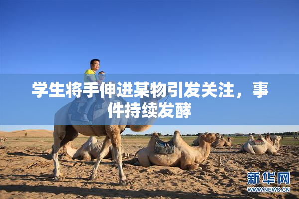 学生将手伸进某物引发关注，事件持续发酵