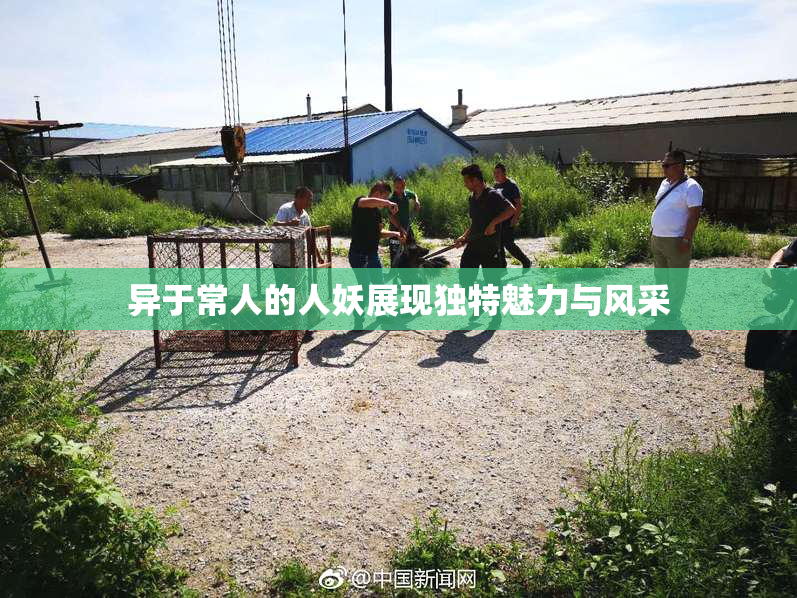 异于常人的人妖展现独特魅力与风采