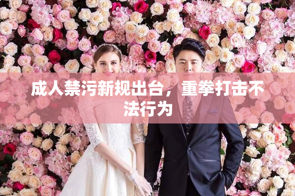 成人禁污新规出台，重拳打击不法行为