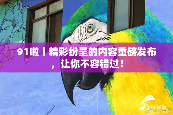 91啦丨精彩纷呈的内容重磅发布，让你不容错过！