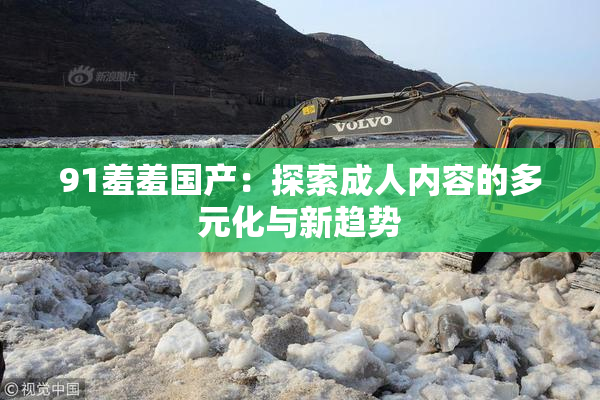 91羞羞国产：探索成人内容的多元化与新趋势