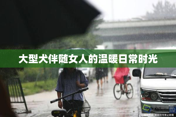 大型犬伴随女人的温暖日常时光