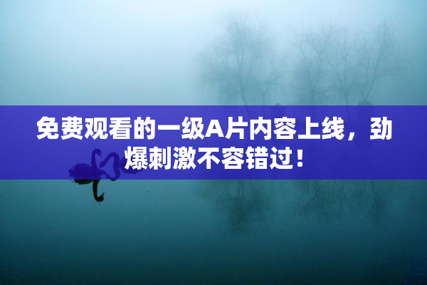 免费观看的一级A片内容上线，劲爆刺激不容错过！