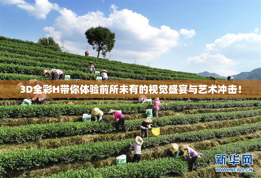 3D全彩H带你体验前所未有的视觉盛宴与艺术冲击！