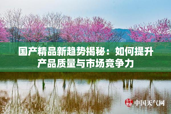国产精品新趋势揭秘：如何提升产品质量与市场竞争力