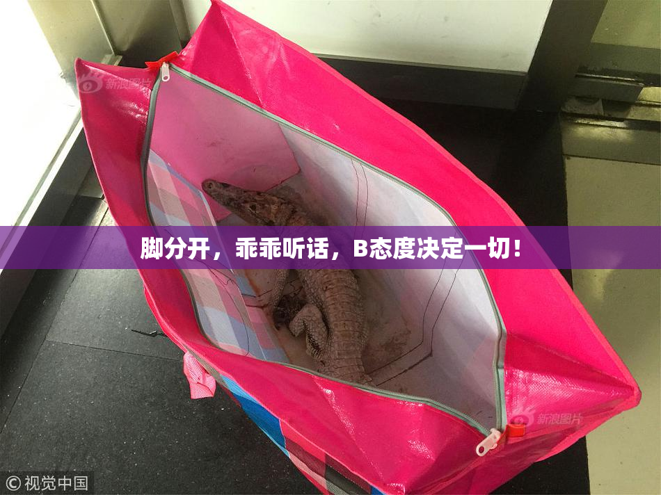 脚分开，乖乖听话，B态度决定一切！
