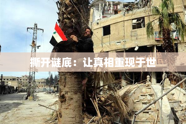 撕开谜底：让真相重现于世