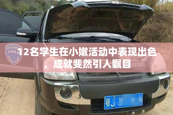 12名学生在小嫩活动中表现出色，成就斐然引人瞩目