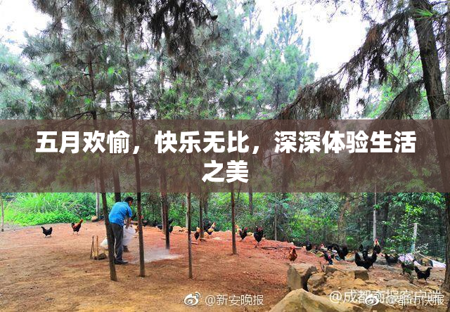 五月欢愉，快乐无比，深深体验生活之美