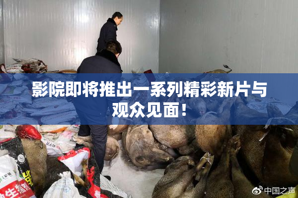 影院即将推出一系列精彩新片与观众见面！