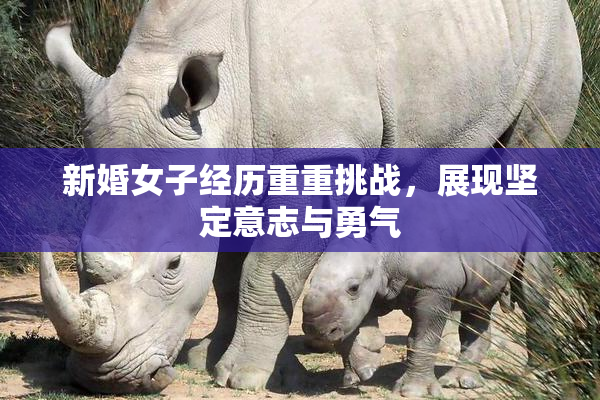 新婚女子经历重重挑战，展现坚定意志与勇气