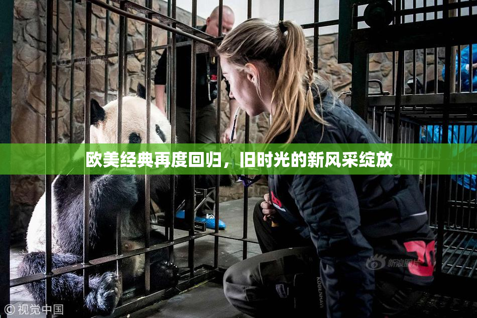 欧美经典再度回归，旧时光的新风采绽放
