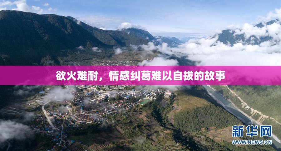 欲火难耐，情感纠葛难以自拔的故事
