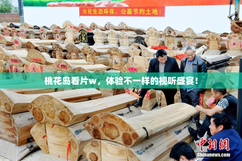 桃花岛看片w，体验不一样的视听盛宴！