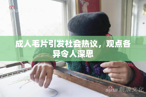成人毛片引发社会热议，观点各异令人深思