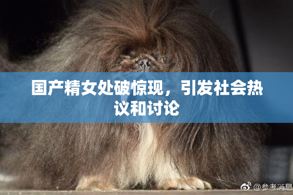 国产精女处破惊现，引发社会热议和讨论