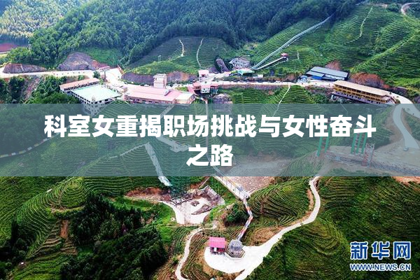 科室女重揭职场挑战与女性奋斗之路