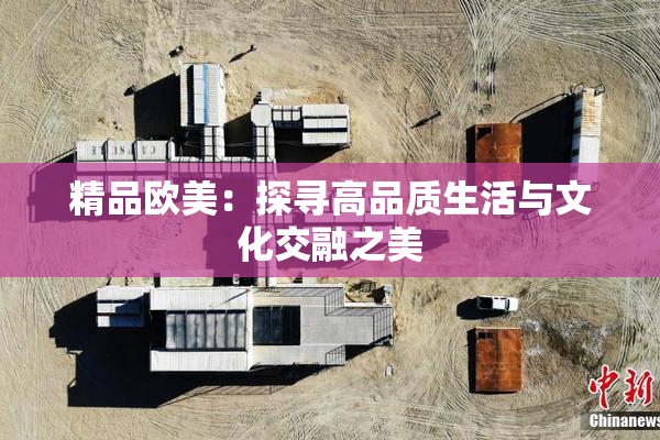 精品欧美：探寻高品质生活与文化交融之美