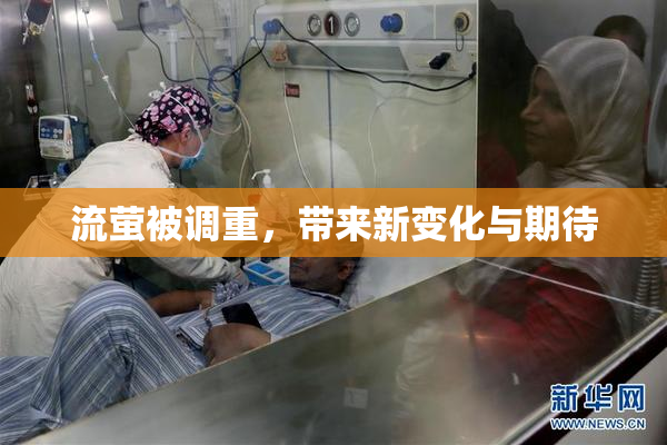 流萤被调重，带来新变化与期待