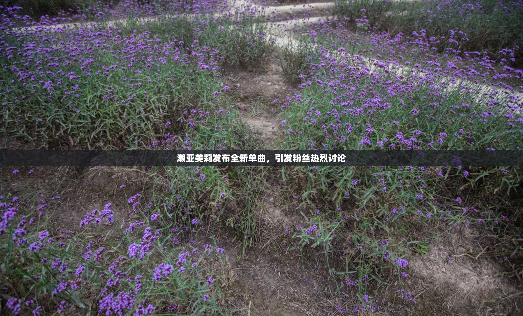 濑亚美莉发布全新单曲，引发粉丝热烈讨论