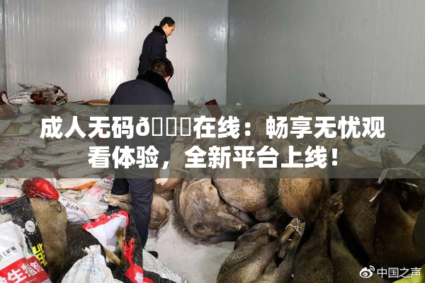 成人无码🔞在线：畅享无忧观看体验，全新平台上线！