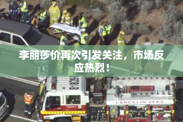 李丽莎价再次引发关注，市场反应热烈！