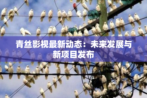 青丝影视最新动态：未来发展与新项目发布