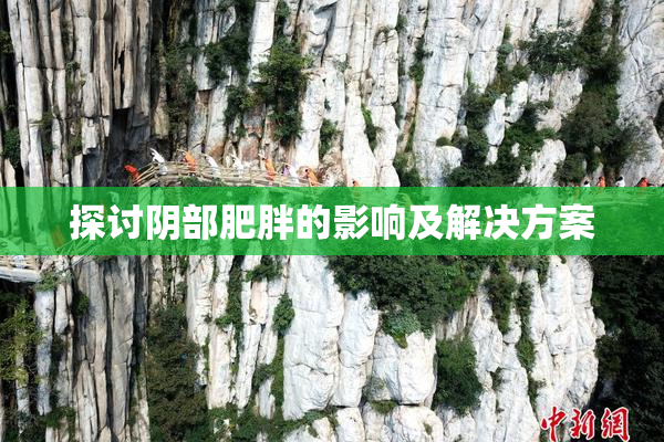 探讨阴部肥胖的影响及解决方案