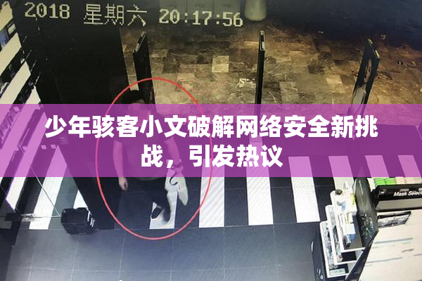 少年骇客小文破解网络安全新挑战，引发热议