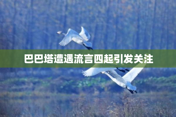 巴巴塔遭遇流言四起引发关注