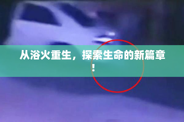 从浴火重生，探索生命的新篇章！