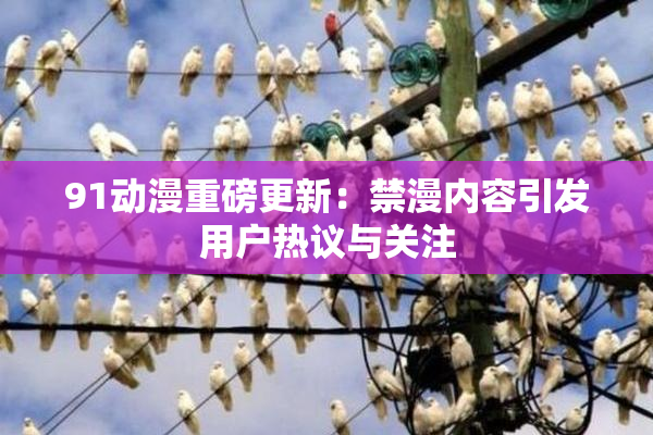 91动漫重磅更新：禁漫内容引发用户热议与关注
