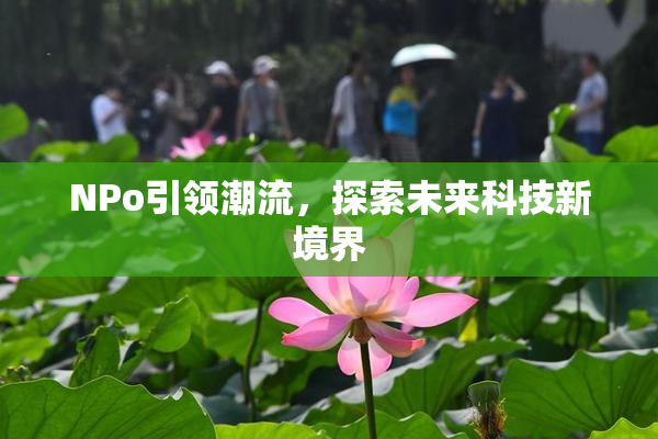 ΝPo引领潮流，探索未来科技新境界