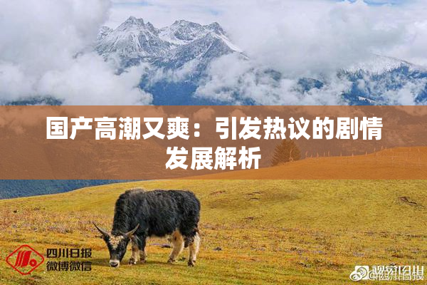 国产高潮又爽：引发热议的剧情发展解析