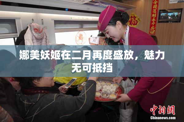 娜美妖姬在二月再度盛放，魅力无可抵挡