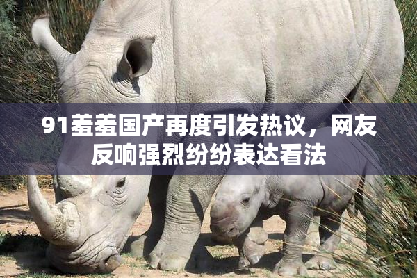 91羞羞国产再度引发热议，网友反响强烈纷纷表达看法
