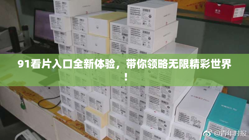 91看片入口全新体验，带你领略无限精彩世界！