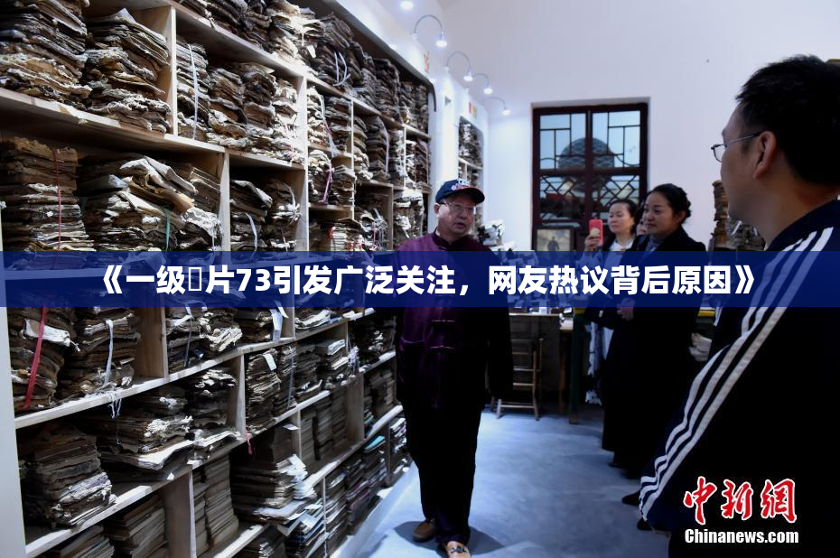 《一级婬片73引发广泛关注，网友热议背后原因》