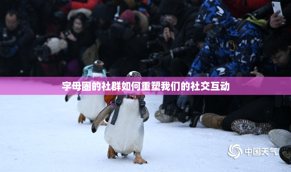 字母圈的社群如何重塑我们的社交互动