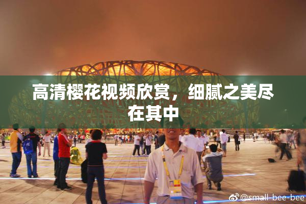 高清樱花视频欣赏，细腻之美尽在其中