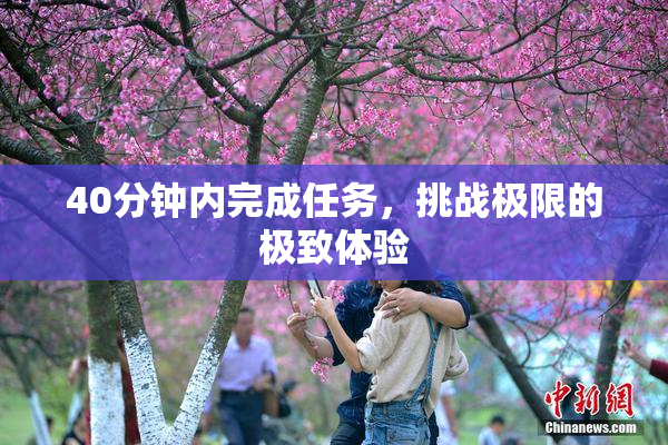 40分钟内完成任务，挑战极限的极致体验