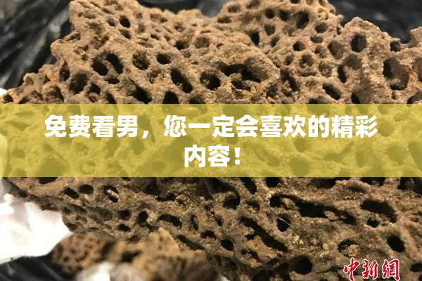 免费看男，您一定会喜欢的精彩内容！