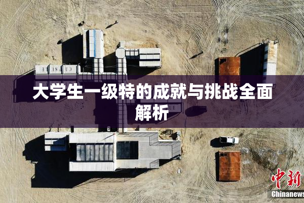 大学生一级特的成就与挑战全面解析