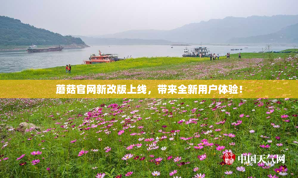 蘑菇官网新改版上线，带来全新用户体验！